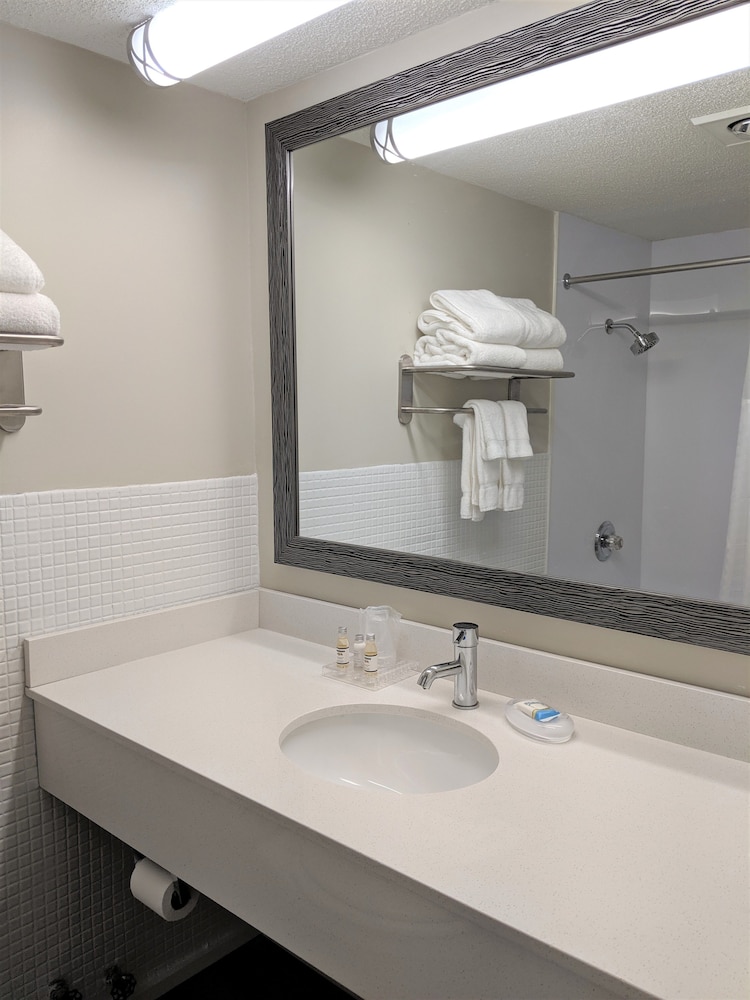 Habitación, 1 cama de matrimonio grande, vistas al lago del hotel Lakefront Terrace Resort. Foto 3