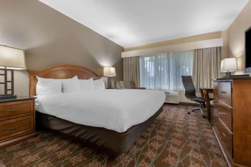 Habitación Doble con bañera adaptada para personas con discapacidad del hotel Best Western University Inn. Foto 5