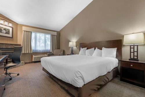 Habitación con cama extragrande y chimenea - No fumadores del hotel Best Western University Inn. Foto 1