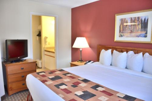 Estudio con cama extragrande y sofá cama del hotel Cresthill Suites Syracuse. Foto 2