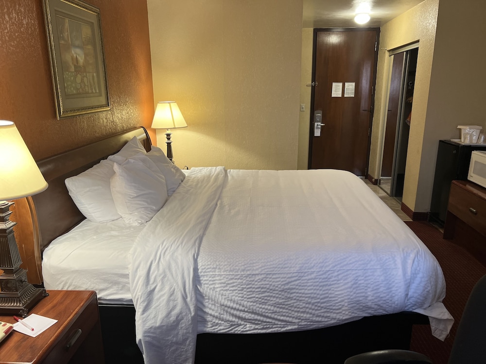 Habitación, 1 cama de matrimonio grande, no fumadores del hotel Ramada by Wyndham Rome/Verona. Foto 1