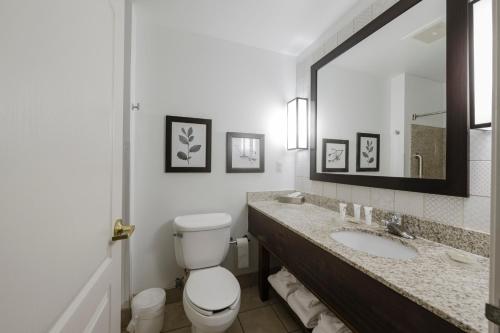 Habitación con cama extragrande - Adaptada para personas de movilidad reducida del hotel Country Inn & Suites by Radisson, Lake George (Queensbury), NY. Foto 6