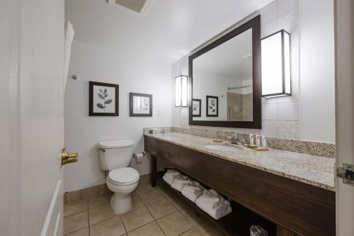 Suite Doble con hidromasaje - No fumadores - 1 cama grande del hotel Country Inn & Suites by Radisson, Lake George (Queensbury), NY. Foto 8