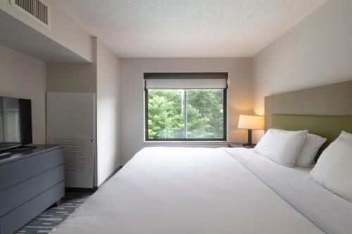 Suite de 1 dormitorio con cama extragrande - No fumadores del hotel Country Inn & Suites by Radisson, Lake George (Queensbury), NY. Foto 10