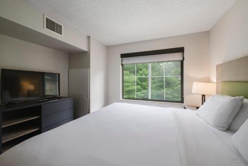 Suite de 1 dormitorio con cama extragrande - No fumadores del hotel Country Inn & Suites by Radisson, Lake George (Queensbury), NY. Foto 11