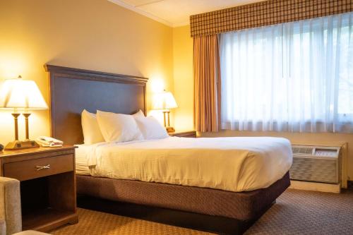 Habitación con 1 cama doble - Adaptada para personas con discapacidad del hotel Best Western Of Lake George. Foto 6