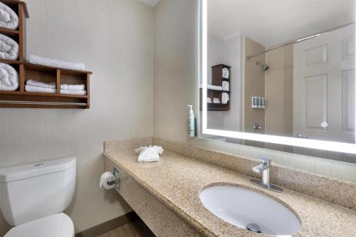 Habitación con ducha accesible en silla de ruedas y asistencia de comunicación - 1 cama extragrande - Adaptado para personas con movilidad reducida del hotel Best Western Cooperstown. Foto 6