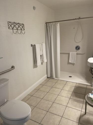 Habitación adaptada para personas con movilidad reducida - Cama grande del hotel Lake Front. Foto 3