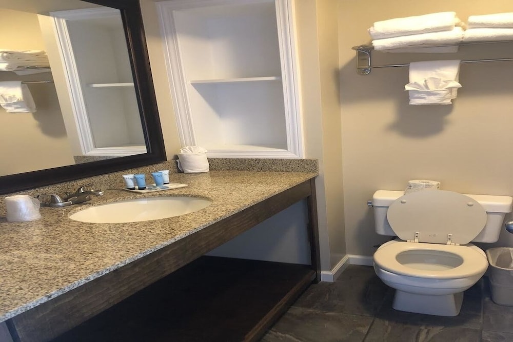 Habitación estándar, 2 camas de matrimonio, vistas al lago (Balcony) del hotel Park Lane. Foto 3