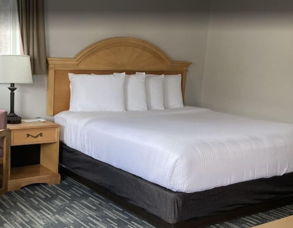 Habitación estándar, 1 cama de matrimonio grande del hotel Park Lane. Foto 3