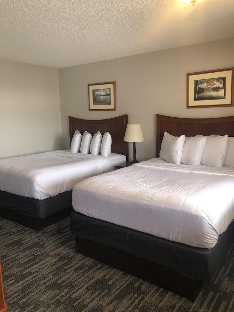 Habitación estándar, 2 camas de matrimonio, vistas a la piscina del hotel Park Lane