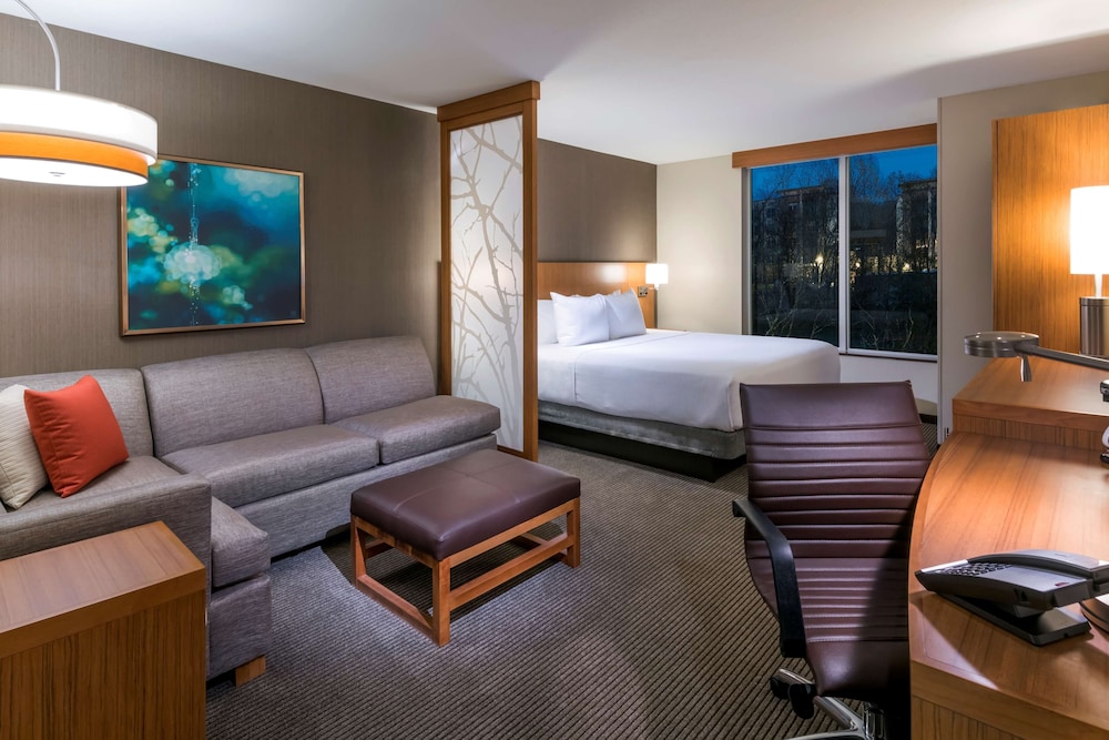 Planta alta | Cama king (más sofá cama) del hotel Hyatt Place Marlborough/apex Center