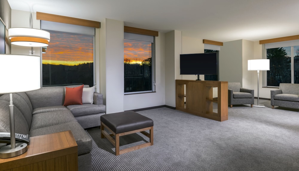 Suite de un Dormitorio con Cocina | Cama King (Más Sofá Cama) del hotel Hyatt Place Marlborough/apex Center. Foto 7