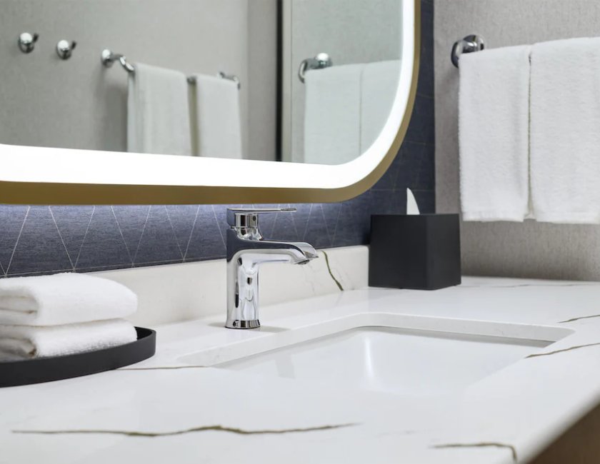 1 Cama King Accesible con Ducha del hotel Hyatt Regency Tysons Corner Center. Foto 5