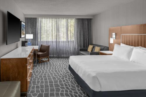 1 Cama King con Sofá Cama del hotel Hyatt Regency Princeton. Foto 11