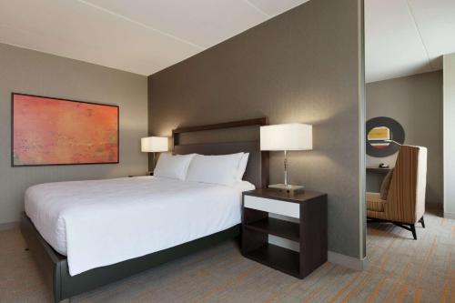 Suite de 1 dormitorio - 1 cama extragrande del hotel Hilton Garden Inn Rochester University. Foto 3