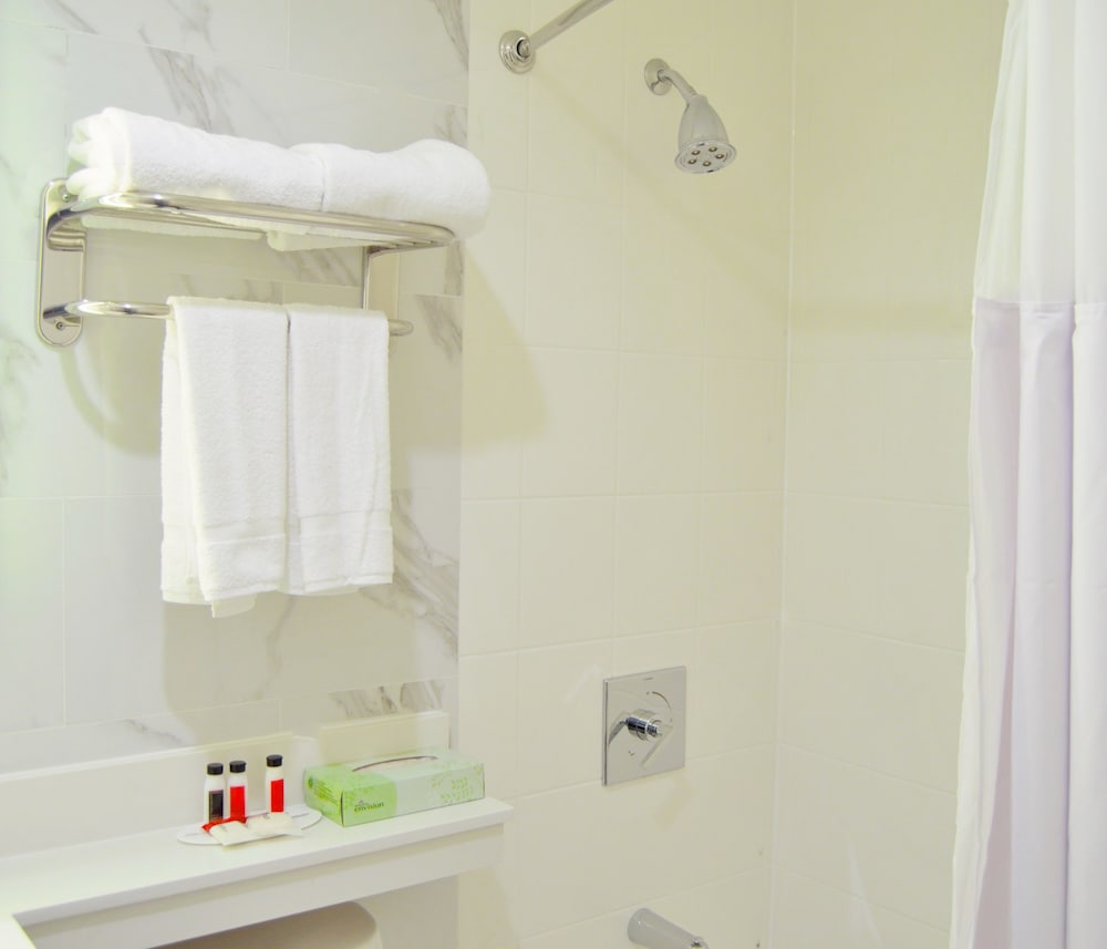 Habitación Deluxe, 1 cama de matrimonio del hotel Voyage. Foto 11