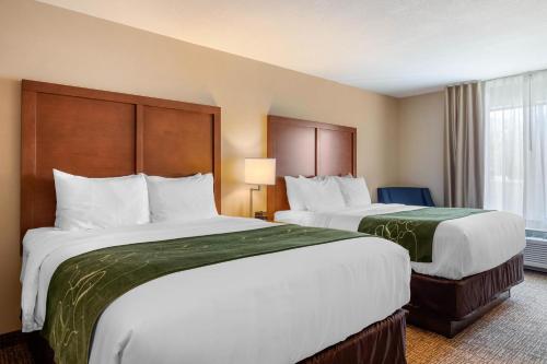 Habitación con 2 camas grandes - Adaptada para personas con movilidad reducida - No fumadores del hotel Comfort Inn and Suites Schenectady - Scotia. Foto 3