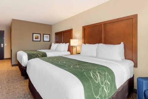 Habitación con 2 camas grandes - No fumadores del hotel Comfort Inn and Suites Schenectady - Scotia. Foto 3