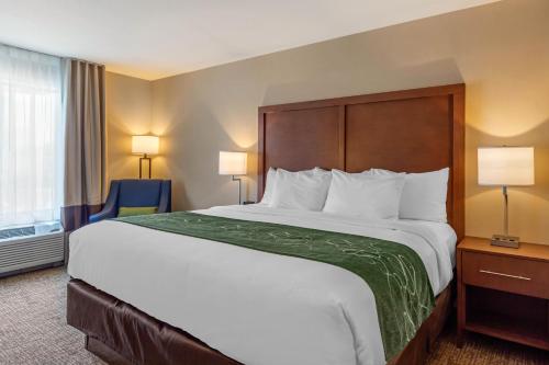 Habitación - 1 cama extragrande - No fumadores del hotel Comfort Inn and Suites Schenectady - Scotia. Foto 1