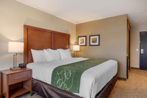Habitación - 1 cama extragrande - No fumadores del hotel Comfort Inn and Suites Schenectady - Scotia. Foto 2