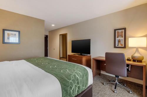 Habitación - 1 cama extragrande - No fumadores del hotel Comfort Inn and Suites Schenectady - Scotia. Foto 4