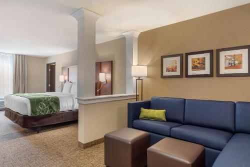 Suite adaptada para personas con movilidad reducida - 1 cama extragrande - No fumadores del hotel Comfort Inn and Suites Schenectady - Scotia. Foto 2