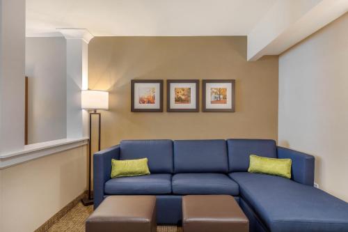 Suite adaptada para personas con movilidad reducida - 1 cama extragrande - No fumadores del hotel Comfort Inn and Suites Schenectady - Scotia. Foto 3