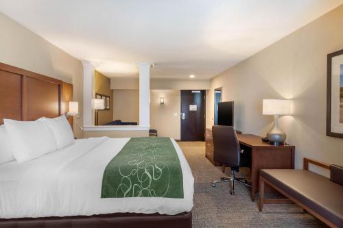 Suite adaptada para personas con movilidad reducida - 1 cama extragrande - No fumadores del hotel Comfort Inn and Suites Schenectady - Scotia. Foto 4
