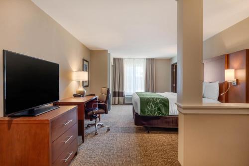Suite adaptada para personas con movilidad reducida - 1 cama extragrande - No fumadores del hotel Comfort Inn and Suites Schenectady - Scotia. Foto 5