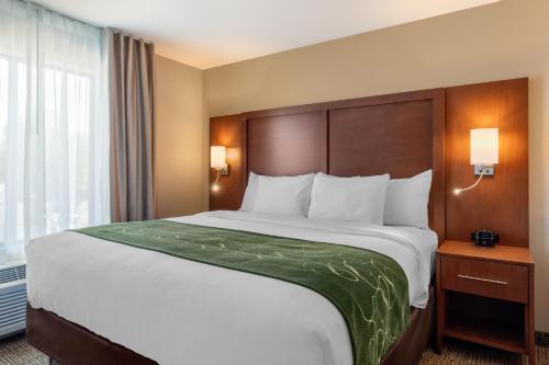 Suite con cama extragrande y sofá cama - No fumadores del hotel Comfort Inn and Suites Schenectady - Scotia. Foto 1