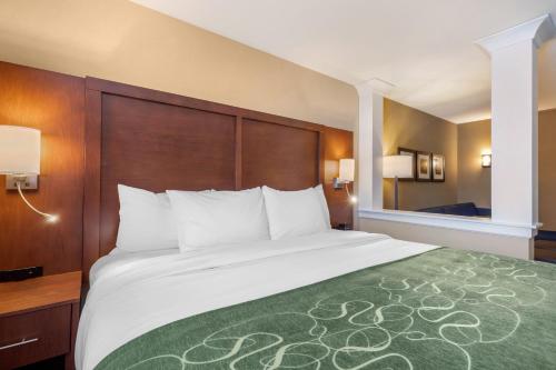 Suite con cama extragrande y sofá cama - No fumadores del hotel Comfort Inn and Suites Schenectady - Scotia. Foto 2