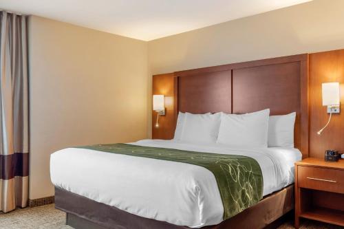 Suite Superior con cama extragrande y sofá cama - No fumadores del hotel Comfort Inn and Suites Schenectady - Scotia. Foto 1