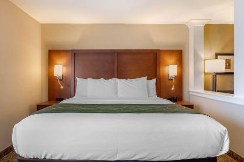 Suite Superior con cama extragrande y sofá cama - No fumadores del hotel Comfort Inn and Suites Schenectady - Scotia. Foto 3