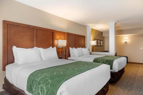 Suite - 2 camas grandes - Adaptada para personas con discapacidad - No fumadores del hotel Comfort Inn and Suites Schenectady - Scotia. Foto 1