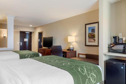 Suite - 2 camas grandes - Adaptada para personas con discapacidad - No fumadores del hotel Comfort Inn and Suites Schenectady - Scotia. Foto 2