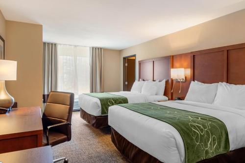 Suite - 2 camas grandes - Adaptada para personas con discapacidad - No fumadores del hotel Comfort Inn and Suites Schenectady - Scotia. Foto 4