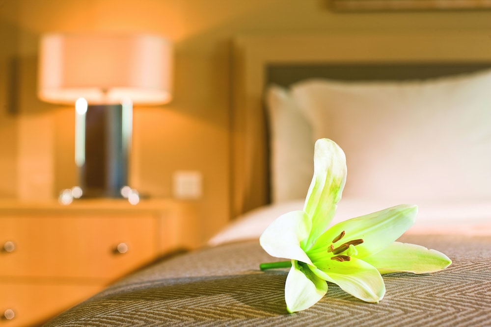 Premium King del hotel Mövenpick Suriwongse Chiang Mai. Foto 4