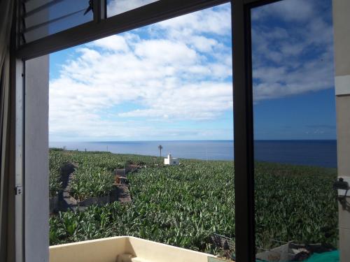 One-Bedroom Apartment del hotel Isa I y II. Foto 11