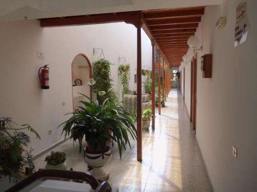 One-Bedroom Apartment with Terrace (3 Adults) del hotel Isa I y II. Foto 2