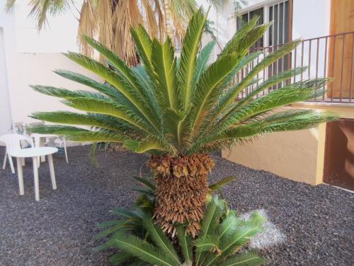 One-Bedroom Apartment (2 Adults + 2 Children) del hotel Isa I y II. Foto 10