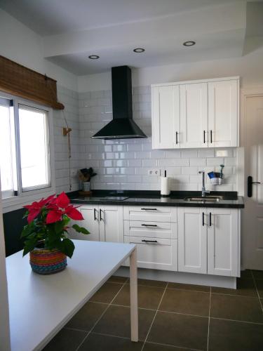 Apartamento con vistas al jardín del hotel Tenerife Climbing House. Foto 5