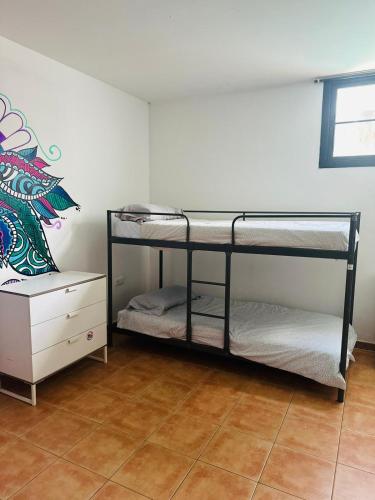 Cama en habitación compartida mixta de 6 camas del hotel La Fresa