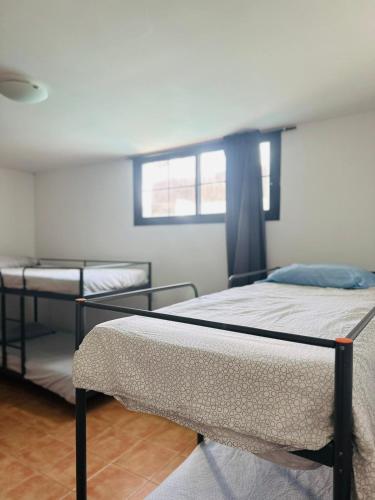 Cama en habitación compartida mixta de 6 camas del hotel La Fresa. Foto 3