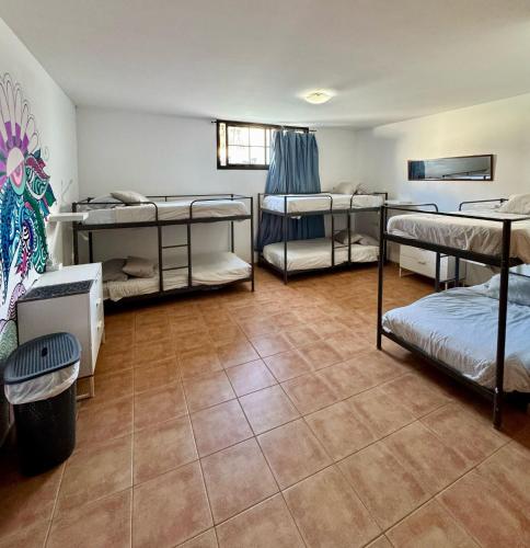 Cama en habitación compartida mixta de 6 camas del hotel La Fresa. Foto 6