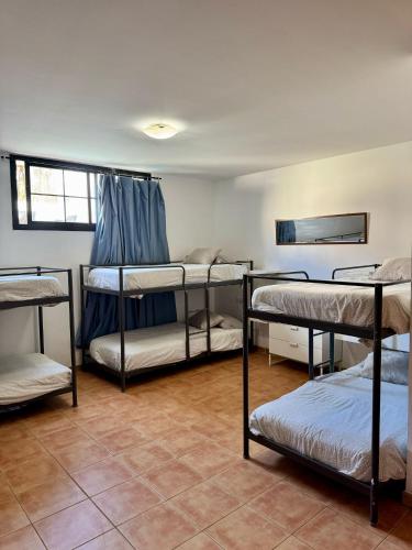 Cama en habitación compartida mixta de 6 camas del hotel La Fresa. Foto 8