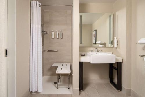 Habitación con 1 cama extragrande, ducha 3X3 y vistas a la ciudad - Adaptada para personas con movilidad reducida del hotel Embassy Suites By Hilton New York Manhattan Times Square. Foto 6