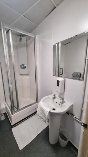 Cama en habitación compartida femenina de 8 camas con baño privado del hotel St Christopher's Inn, Hammersmith. Foto 2