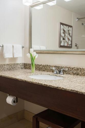 Habitación Deluxe con cama extragrande y bañera adaptada - Apta para personas con discapacidad auditiva y movilidad reducida del hotel Renaissance Newark Airport. Foto 4