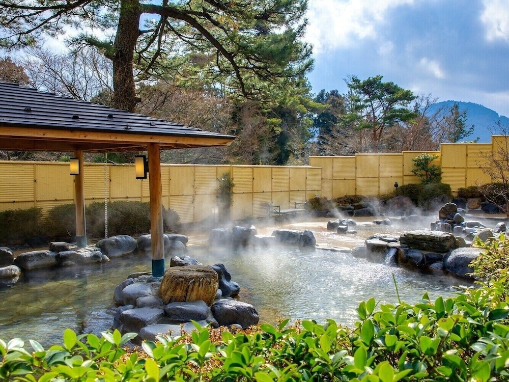 Habitación Superior con baño Onsen al aire libre (Plan de desayuno) (Futones disponibles a partir del tercer huésped) del hotel Hakone Kowakien Ten-yu. Foto 8
